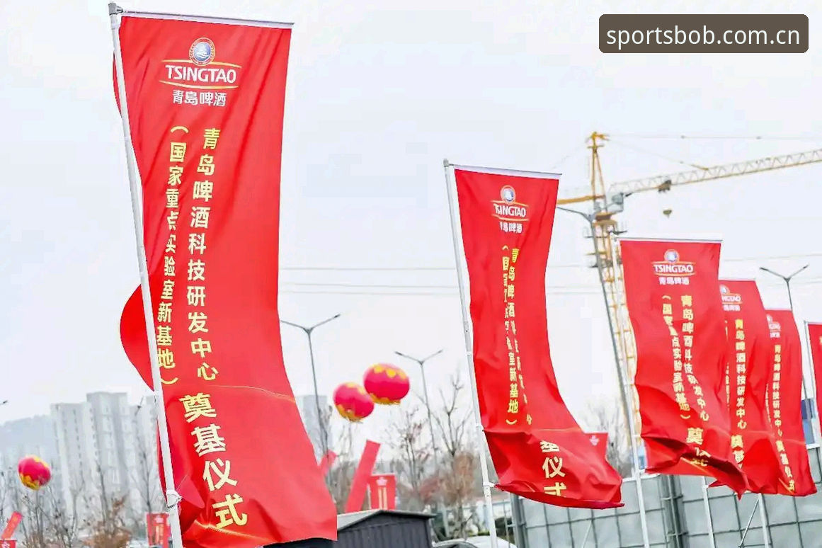 揭秘半岛体育下载背后的行业趋势：从版本迭代看数字体育生态进化